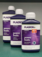 Plagron Power Buds