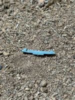 Wieland Verriegelung grau