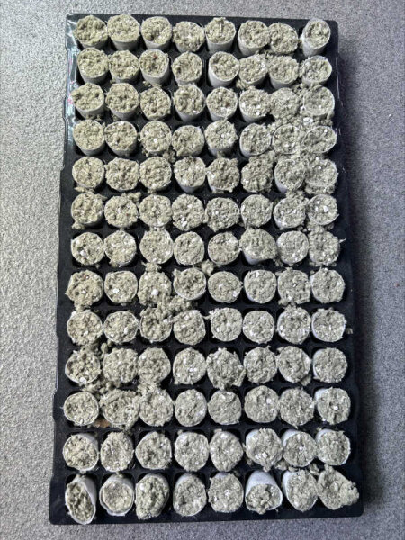 Paperplug 104er Tray
