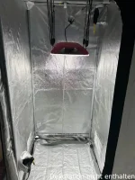 Vanguard COSMOS X200, 200W