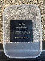 JUNGLE BOYS Coma x Gatorbreath, 1 Samen regular