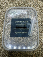 JUNGLE BOYS Gatorbreath x L.A. Kush Cake, 1 Samen...