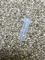 JUNGLE BOYS Perfect Triangle x L.A. Kush Cake, 1 Samen feminisiert