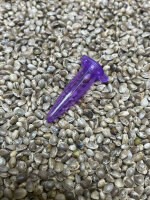 JUNGLE BOYS SFV x TK x Gatorbreath, 1 Samen regular