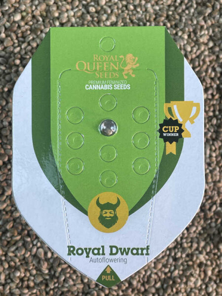 ROYAL QUEEN SEEDS Royal Dwarf, 1 Samen automatic