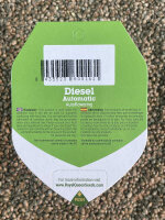 ROYAL QUEEN SEEDS Diesel, 1 Samen automatic