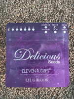 Delicious Seeds Eleven Roses, 1 Samen feminisiert