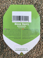 ROYAL QUEEN SEEDS Haze Berry Auto, 3 Samen automatic