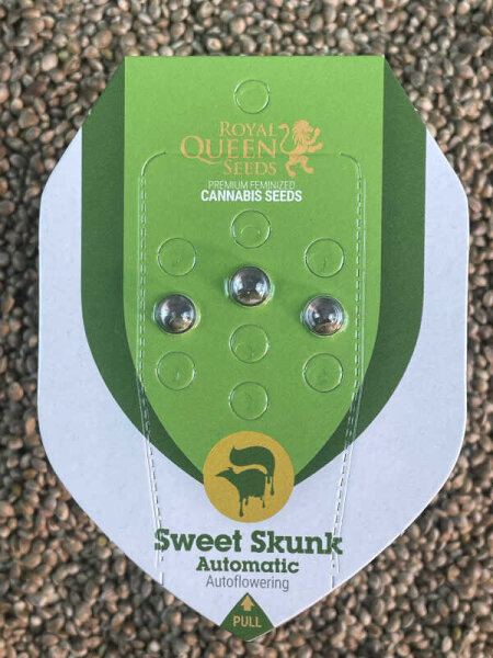 ROYAL QUEEN SEEDS Sweet Skunk Auto, 3 Samen automatic