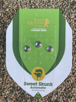 ROYAL QUEEN SEEDS Sweet Skunk Auto, 3 Samen automatic