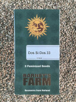 Barney`s Farm Seeds Dos Si Dos 33, 3 Samen feminisiert