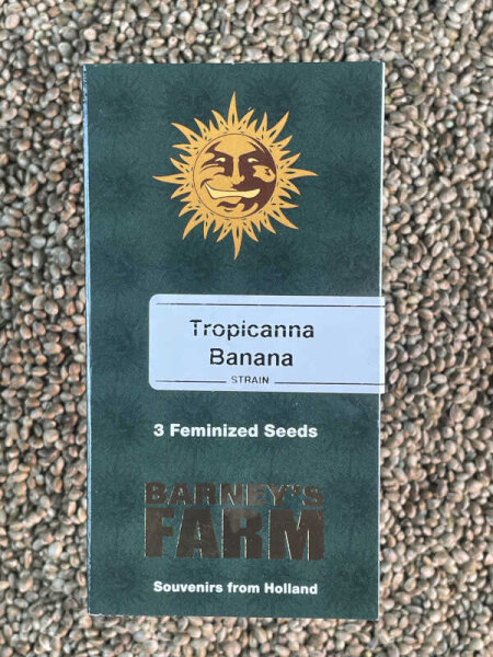 Barney`s Farm Seeds Tropicanna Banana, 3 Samen feminisiert