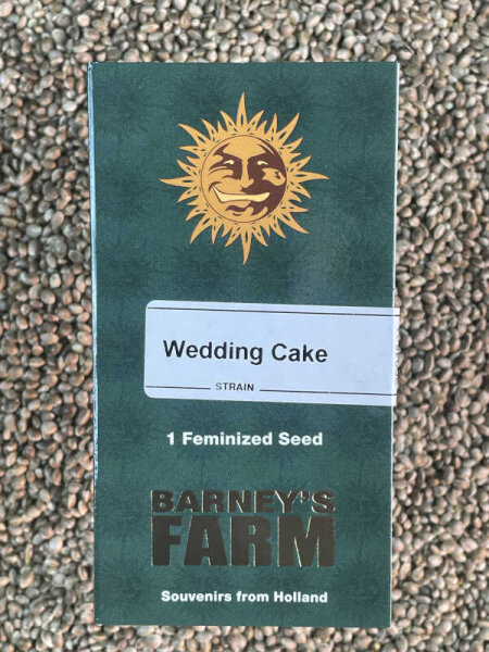 Barney`s Farm Seeds Wedding Cake, 1 Samen feminisiert