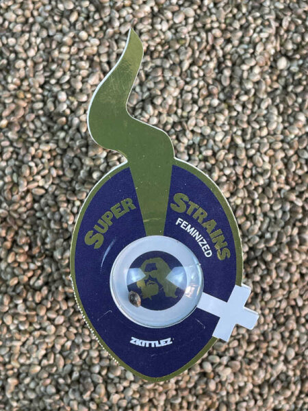 Super Strains Zkittlez, 1 Samen feminisiert