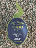 Super Strains Agartha-CBD,CBD:THC, 8:1, 1 Samen feminisiert