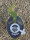 Super Strains Agartha-CBD,CBD:THC, 8:1, 1 Samen feminisiert