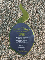 Super Strains Eden-CBD,CBD:THC, 70:1, 1 Samen feminisiert