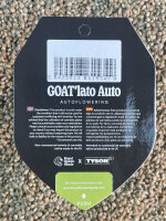 ROYAL QUEEN SEEDS X TYSON GOATlato Auto, 1 Samen automatic