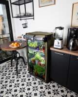 Secret Jardin Grow Station The Original GR60, Anzuchtbox 3 Etagen, 60x40x116cm, 3x 20W Cosmorrow LED