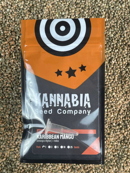 KANNABIA SEEDS KARIBBEAN MANGO, 1 Samen feminisiert