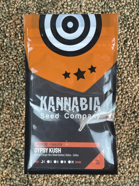 KANNABIA SEEDS GYPSY KUSH, 1 Samen feminisiert