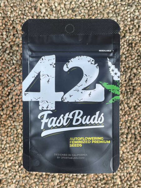 FastBuds Kosher Cake Auto, 1 Samen automatic