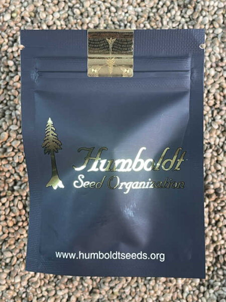 HUMBOLDT SEEDS ORGANISATION CINNAMON BUDDHA OG, 3 Samen feminisiert