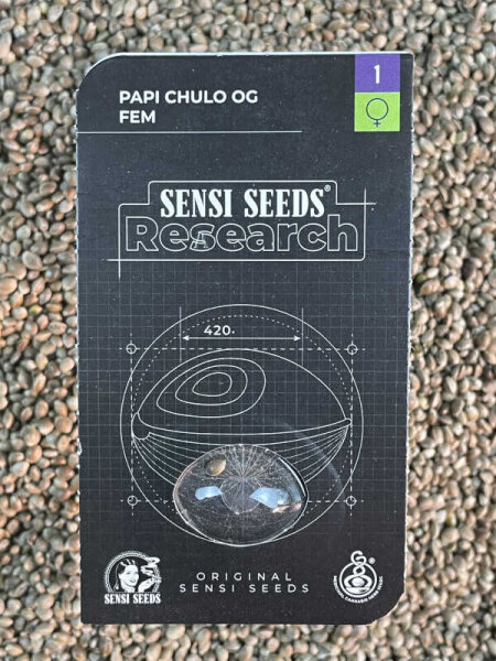 SENSI SEEDS RESEARCH PAPI CHULO OG, 1 Samen feminisiert