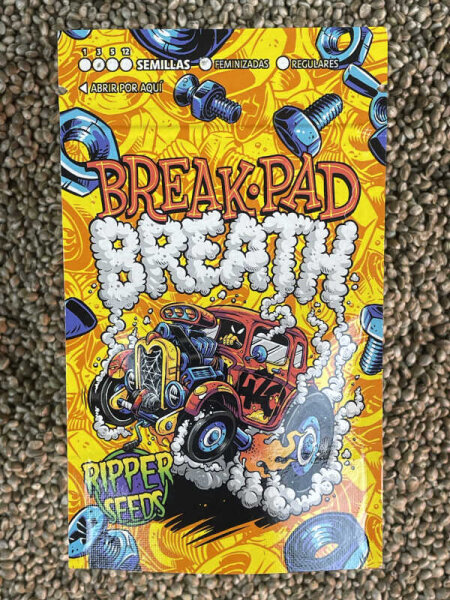 RIPPER SEEDS Break Pad Breath, 3 Samen feminisiert