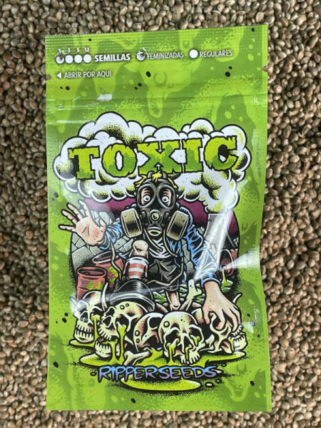 RIPPER SEEDS TOXIC, 1 Samen feminisiert