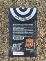 KANNABIA SEEDS KICKASS AUTO, 1 Samen automatc