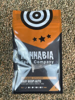 KANNABIA SEEDS BABY BOOM AUTO, 1 Samen automatic