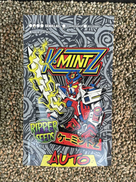RIPPER SEEDS KMINTZ AUTO, 3 Samen automatic