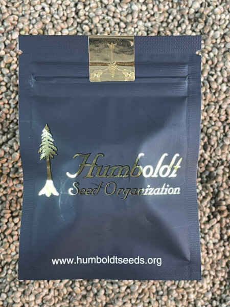 HUMBOLDT SEEDS ORGANISATION  FLORIDA GASPACK, 3 Samen feminisiert