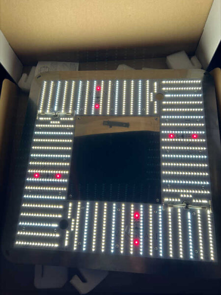 Vanguard LED Cosmos 300W