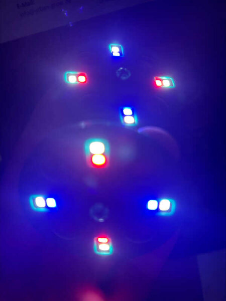 Mini LED für Propagator / Gewächshaus