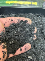 CO2 Products Biochar + microbes Biokohle 5l