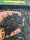 CO2 Products Biochar + microbes Biokohle 5l