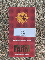Barney`s Farm Seeds Runtz Auto, 5 Samen automatic