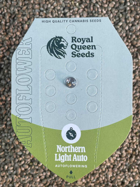 ROYAL QUEEN SEEDS Northern Light Automatic , 1 Samen automatic