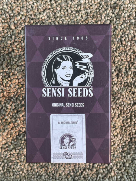 SENSI SEEDS Black Harlequin, CBD:THC, 1:1 Samen feminisiert