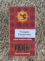 Barney`s Farm Seeds Pineapple Express Auto, 3 Samen...