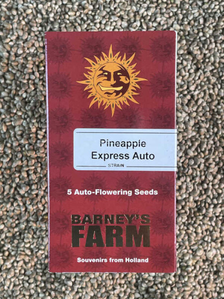 Barney`s Farm Seeds Pineapple Express Auto, 5 Samen automatic