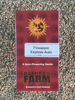 Barney`s Farm Seeds Pineapple Express Auto, 5 Samen automatic