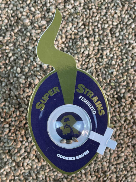 Super Strains Cookies Krush, 3 Samen feminisiert