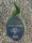 Super Strains Enemy´s Dream, 3 Samen feminisiert