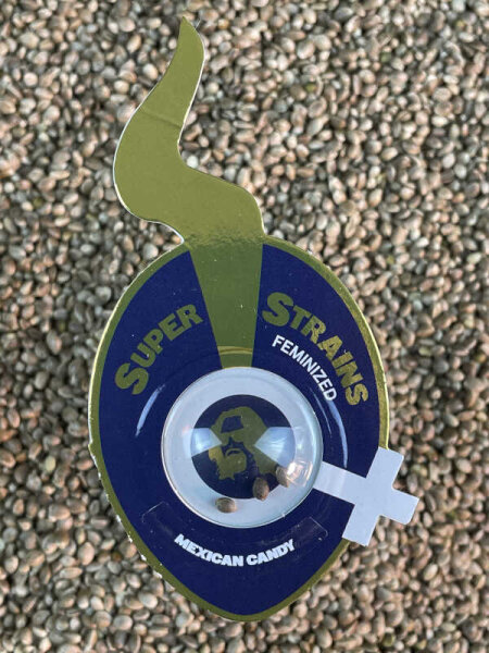 Super Strains Mexican Candy, 3 Samen feminisiert
