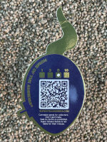 Super Strains Automatic Fini, 5 Samen automatic