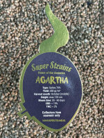 Super Strains Agartha-CBD,CBD:THC, 8:1, 3 Samen feminisiert