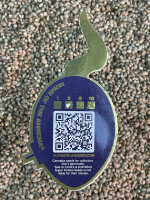 Super Strains Zoap, 3 Samen feminsiert